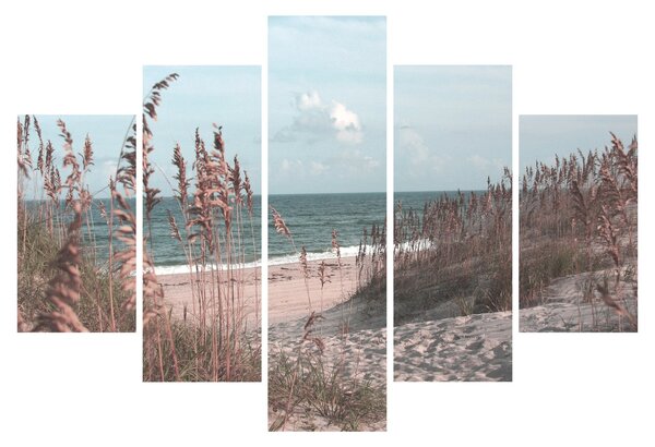 Kép - Rózsaszín strand (150x105 cm)