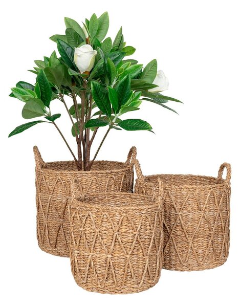Tengerifű tárolókosár szett 3 db-os ø 32x30 cm Krabi – House Nordic