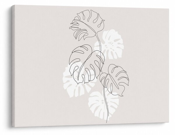 Kép - Vonalkép monstera N⁰3 (70x50 cm)
