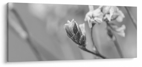 Kép - Virágzó virág (120x50 cm)