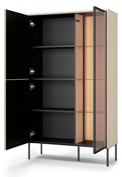 Könyvespolc Elinolo 100, Zárt, Ajtókkal, Közepes sűrűségű farostlemez, Laminált forgácslap, Üveg, 157x92x34cm, Fekete, Tölgy