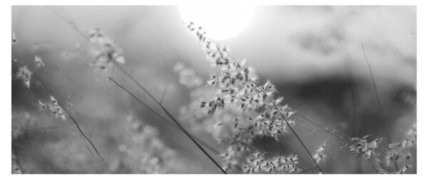 Kép - Őszi rét (120x50 cm)