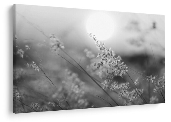 Kép - Őszi rét (90x60 cm)