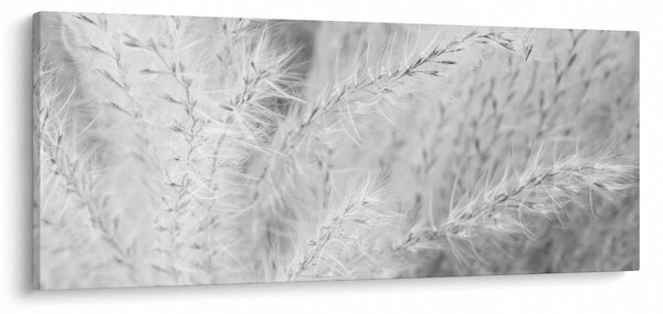 Kép - Pampafű N⁰1 (120x50 cm)