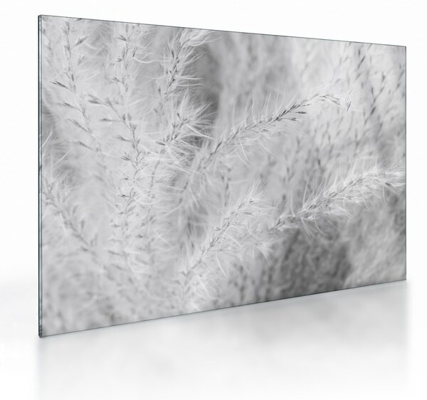 Üveg kép - Pampafű N⁰1 (70x50 cm)