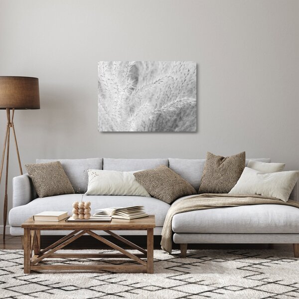 Üveg kép - Pampafű N⁰1 (70x50 cm)