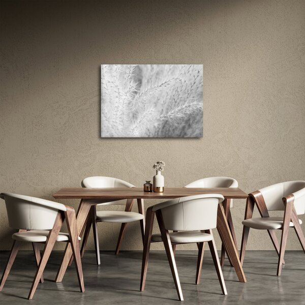 Kép - Pampafű N⁰1 (70x50 cm)