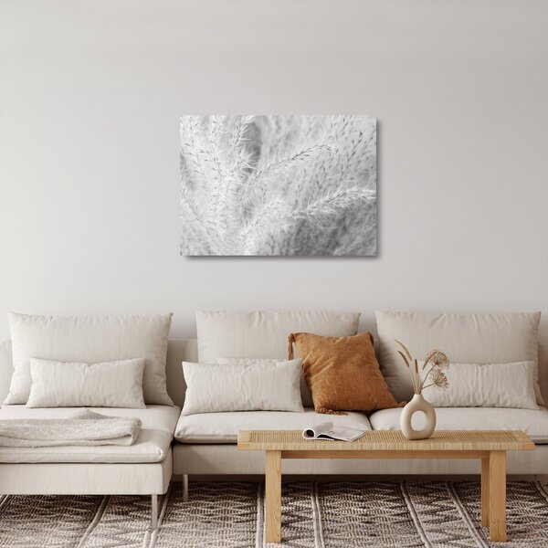 Üveg kép - Pampafű N⁰1 (70x50 cm)