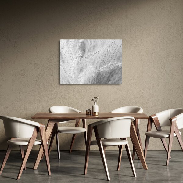 Üveg kép - Pampafű N⁰1 (70x50 cm)