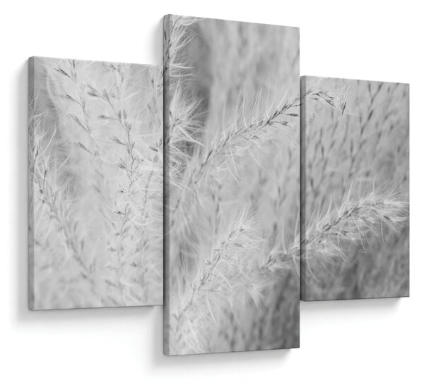 Kép - Pampafű N⁰1 (90x60 cm)