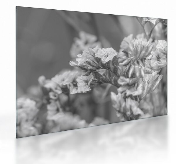 Üveg kép - Szárított virágok (70x50 cm)
