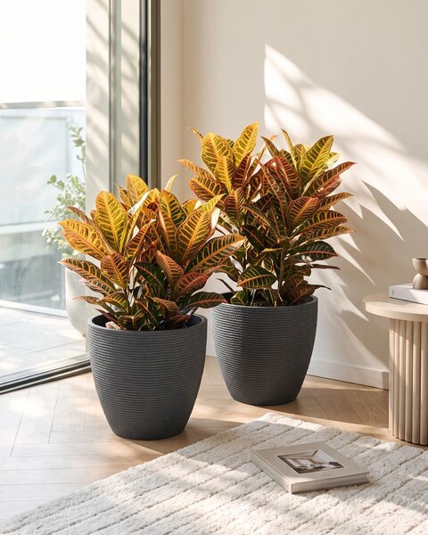 Kétdarabos virágcserép szett FRITILLARIA 50 cm Szürke