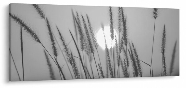Kép - Mező naplementében (120x50 cm)
