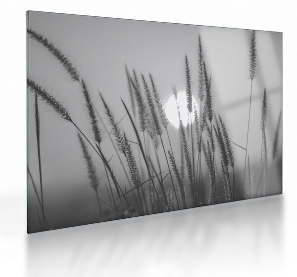 Üveg kép - Mező naplementében (70x50 cm)