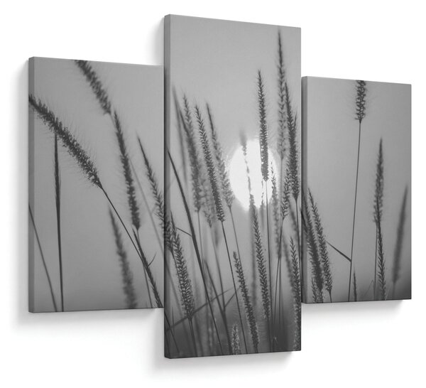 Kép - Mező naplementében (90x60 cm)