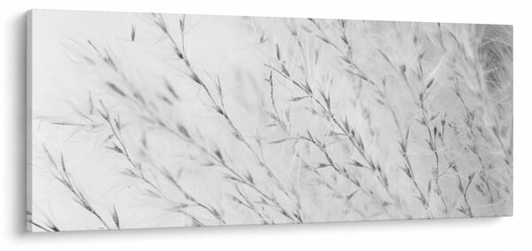 Kép - Pampafű N⁰2 (120x50 cm)