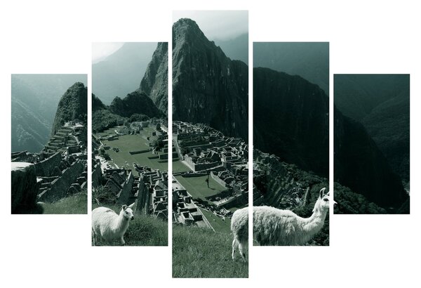 Kép - Lámák a perui Machu Picchunál (150x105 cm)