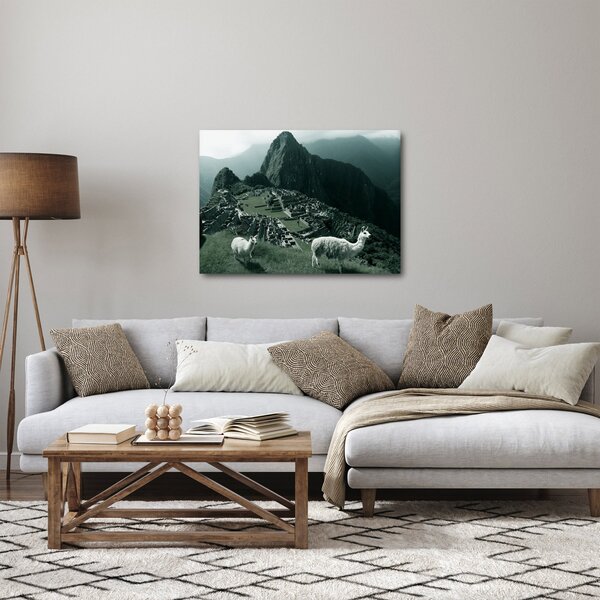 Kép - Lámák a perui Machu Picchunál (70x50 cm)