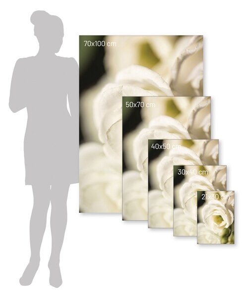 Flower Wall poszter