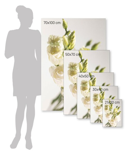 Elegant Flowers poszter