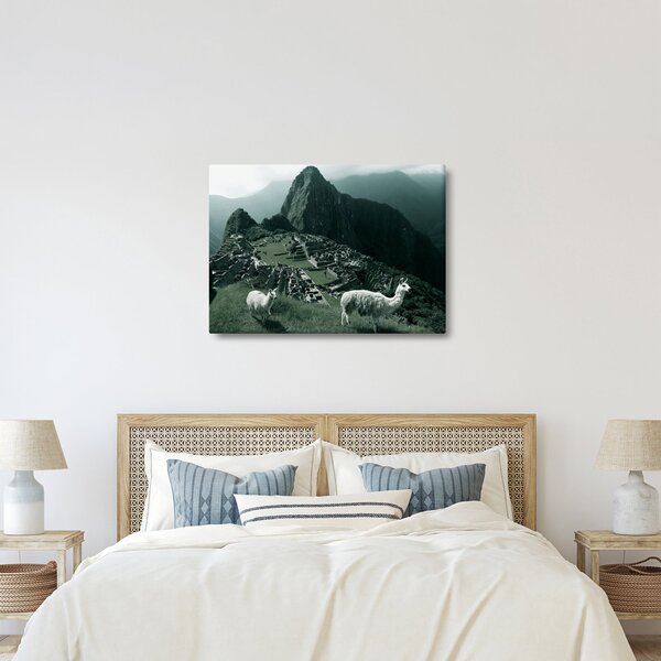 Kép - Lámák a perui Machu Picchunál (70x50 cm)