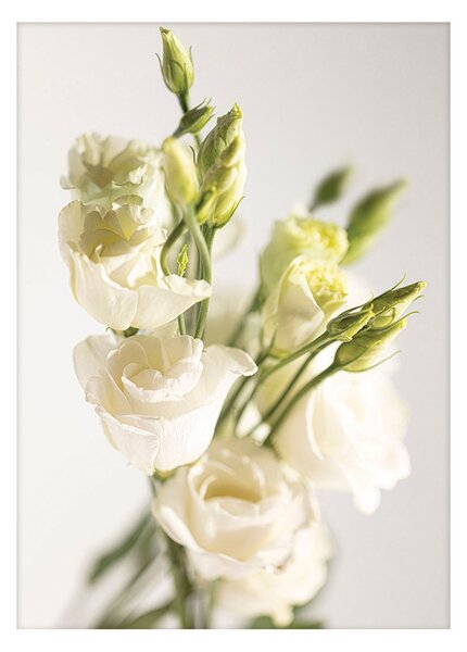 Elegant Flowers poszter