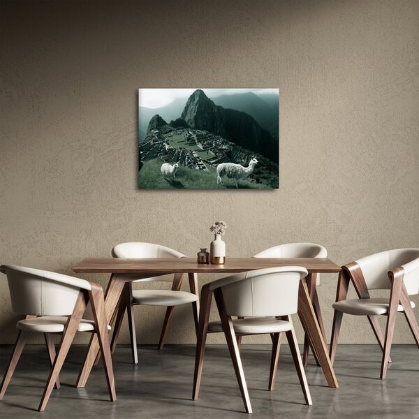Kép - Lámák a perui Machu Picchunál (70x50 cm)
