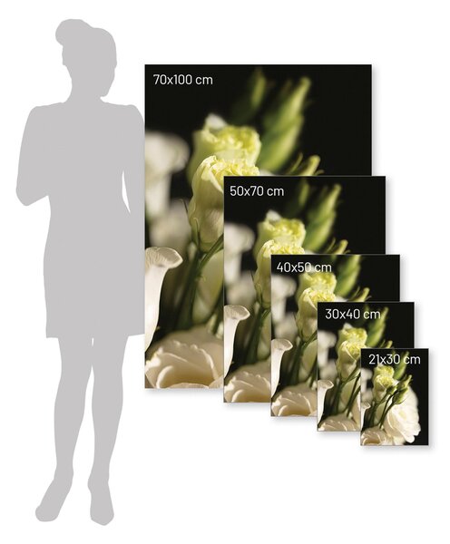 Dark Flowers I poszter