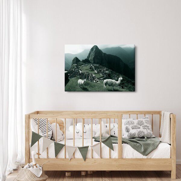 Kép - Lámák a perui Machu Picchunál (90x60 cm)