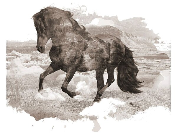 Horse poszter