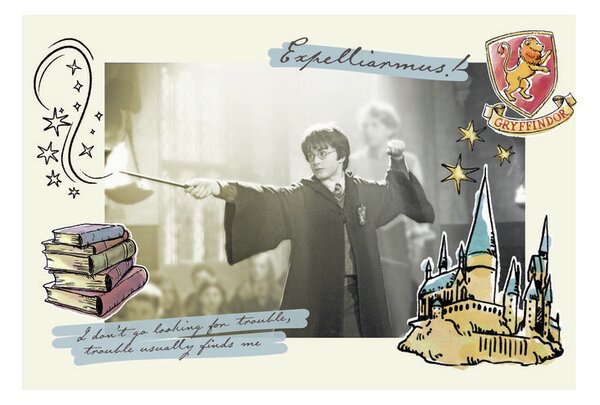 Művészi plakát Harry Potter - Expelliarmus, (40 x 26.7 cm)