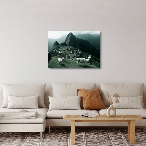 Üveg kép - Lámák a perui Machu Picchunál (70x50 cm)