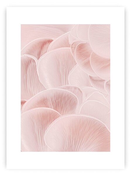 Pastel Pink I poszter
