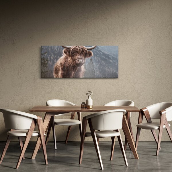 Kép - Highlander tehén (120x50 cm)