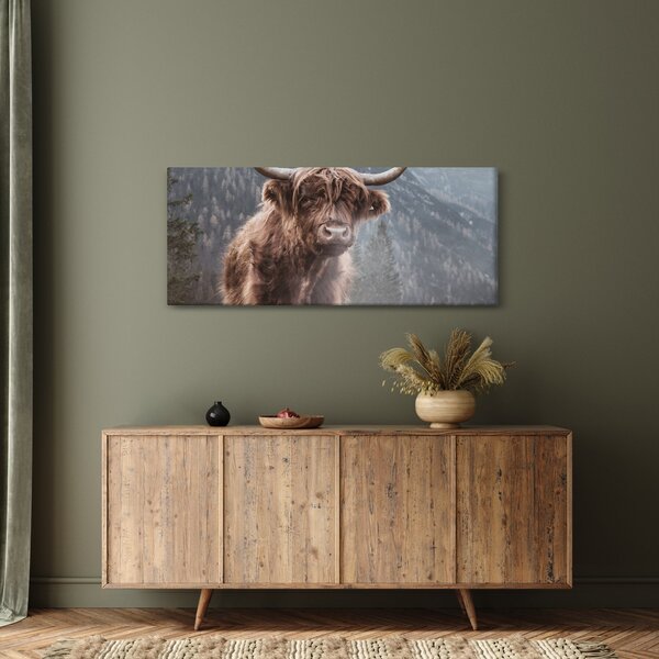 Kép - Highlander tehén (120x50 cm)