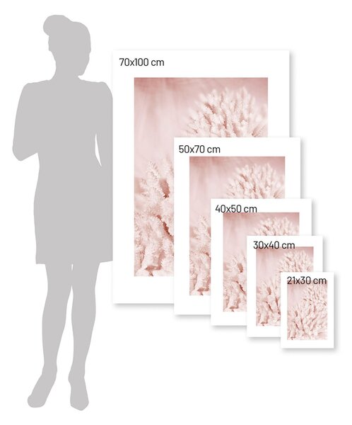 Pastel Pink II poszter