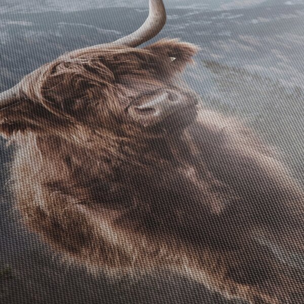 Kép - Highlander tehén (150x105 cm)