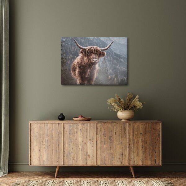 Kép - Highlander tehén (70x50 cm)