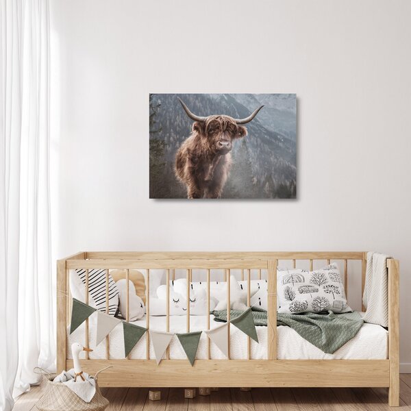 Üveg kép - Highlander tehén (70x50 cm)