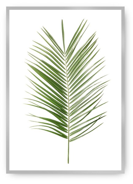 Palm Leaf Green poszter