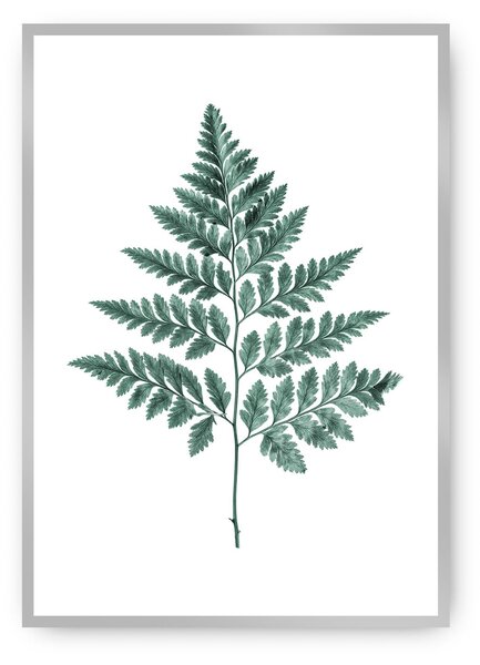 Fern Emerald Green poszter