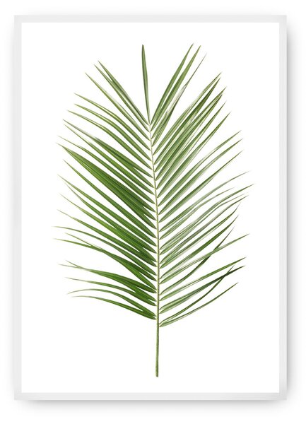 Palm Leaf Green poszter