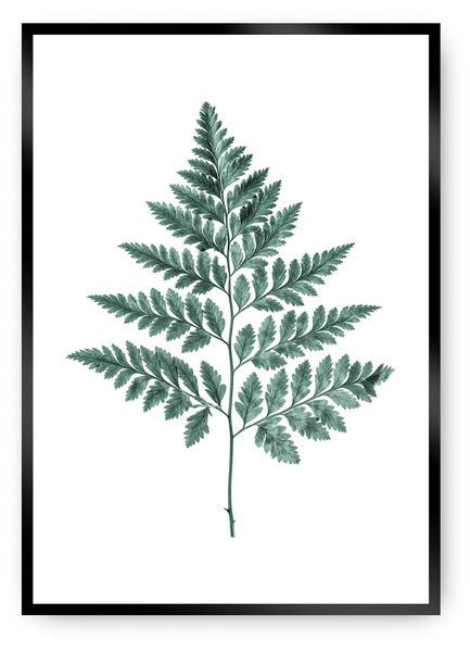 Fern Emerald Green poszter