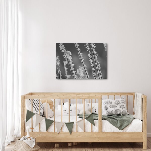Kép - Fagyos hideg (70x50 cm)