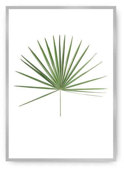 Tropical Leaf Green poszter
