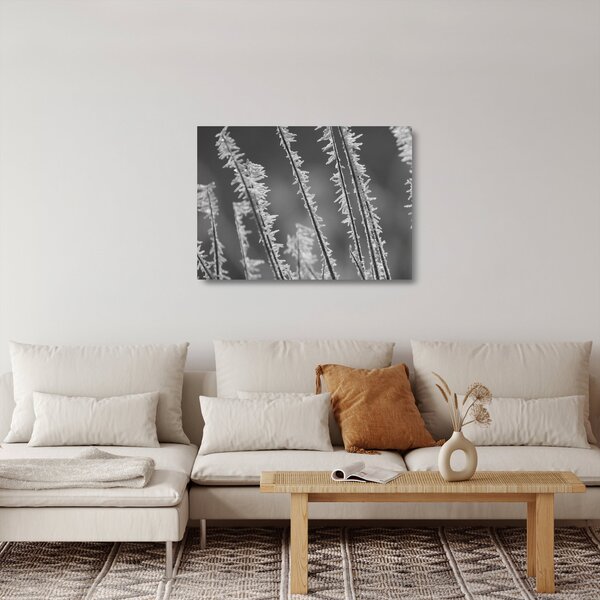 Üveg kép - Fagyos hideg (70x50 cm)