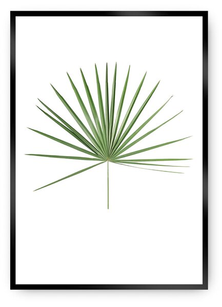 Tropical Leaf zöld poszter