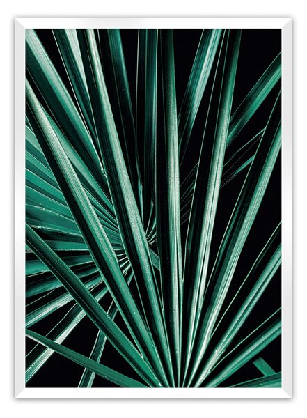 Dark Palm Tree poszter