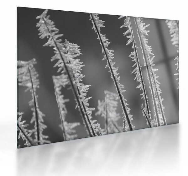 Üveg kép - Fagyos hideg (70x50 cm)