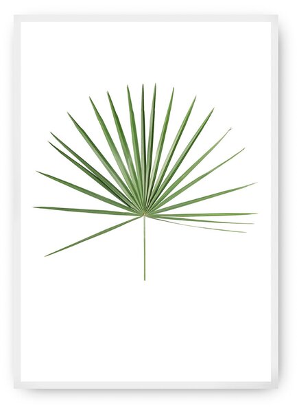 Tropical Leaf Green poszter